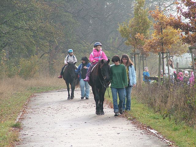 kONÍCI.jpg